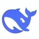 DeepSeek（深度求索）