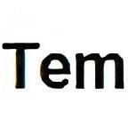 TemplateFlip
